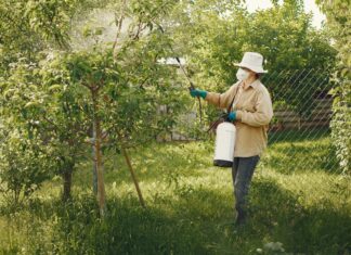 Pesticides interdits : en France, l’exportation continue Pesticides interdits : en France, l’exportation continue