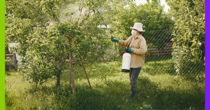 Pesticides interdits : en France, l’exportation continue Pesticides interdits : en France, l’exportation continue
