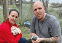 Un parc sensoriel pour humains : le pari du sanctuaire des Poids Plumes Un parc sensoriel pour humains : le pari du sanctuaire des Poids Plumes