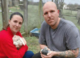 Un parc sensoriel pour humains : le pari du sanctuaire des Poids Plumes Un parc sensoriel pour humains : le pari du sanctuaire des Poids Plumes