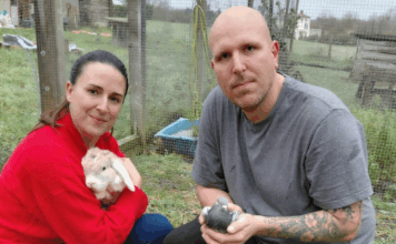 Un parc sensoriel pour humains : le pari du sanctuaire des Poids Plumes Un parc sensoriel pour humains : le pari du sanctuaire des Poids Plumes