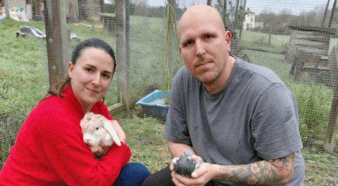 Un parc sensoriel pour humains : le pari du sanctuaire des Poids Plumes Un parc sensoriel pour humains : le pari du sanctuaire des Poids Plumes