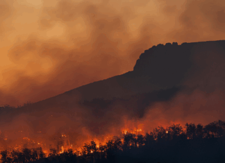Biodiversité, pollution, et zones protégées : les 10 infos de la semaine