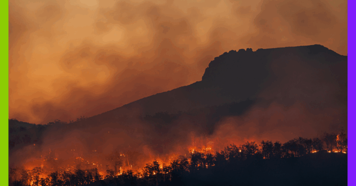 Biodiversité, pollution, et zones protégées : les 10 infos de la semaine
