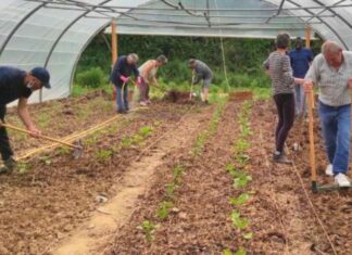 Nogent-le-Rotrou : la transition écologique se cultive à la Maison partagée