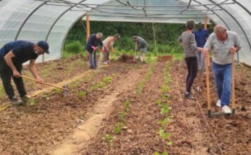Nogent-le-Rotrou : la transition écologique se cultive à la Maison partagée