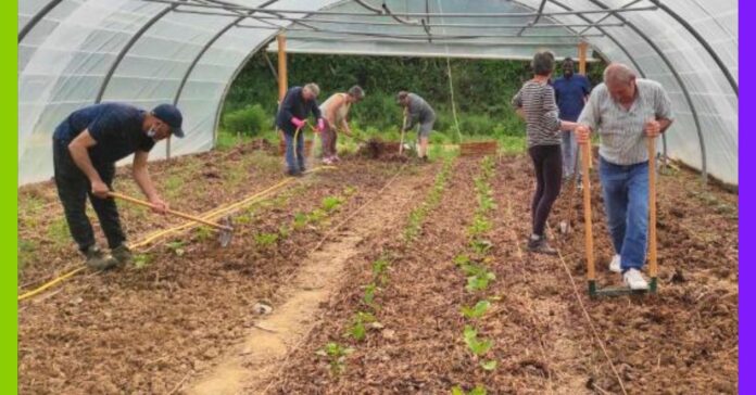 Nogent-le-Rotrou : la transition écologique se cultive à la Maison partagée