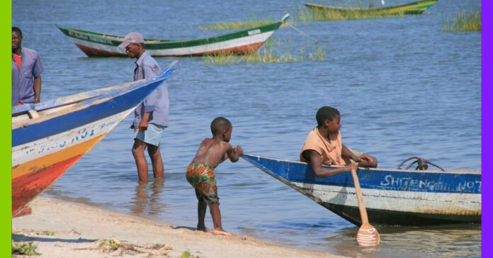 Bassin du Nil : l’or noir des multinationales menace des millions de vies Bassin du Nil : l'or noir des multinationales menace des millions de vies