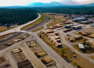À échelle industrielle, le chauffage au bois est anti-écolo À échelle industrielle, le chauffage au bois est anti-écolo