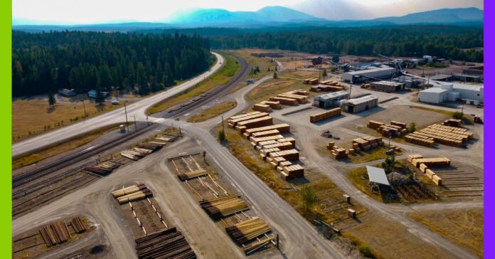 À échelle industrielle, le chauffage au bois est anti-écolo À échelle industrielle, le chauffage au bois est anti-écolo