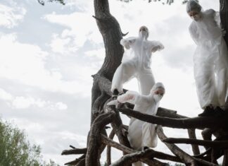 Des solutions pour sauver les forêts françaises Des solutions pour sauver les forêts françaises