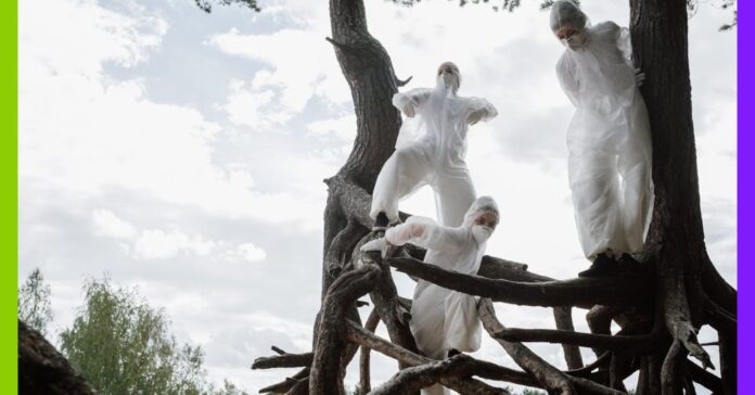 Des solutions pour sauver les forêts françaises Des solutions pour sauver les forêts françaises