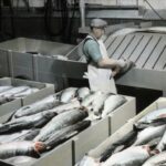 Couverture Article(5)