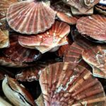40% des coquilles Saint-Jacques pêchées annuellement le sont aux abords des fêtes ©Unsplash