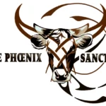 Logo Little Phoenix Sanctuary