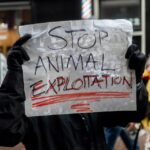 L&rsquo;arrêt total de toute forme d&rsquo;exploitation animale est l&rsquo;un des objectifs du combat antispéciste ©Unsplash