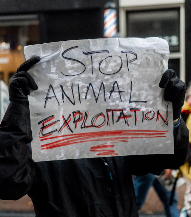 L'arrêt total de toute forme d'exploitation animale est l'un des objectifs du combat antispéciste ©Unsplash
