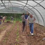 travail serre le 19 mai 2022 nogent 1 -800-4f01c1a5ad2042e79566ed55b63cbb56