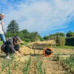 visite nogent-53-800-548c0ce260784881b8187ddc77f8debc