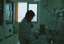 Appauvrissement nutritionnel : la face cachée du CO₂ Appauvrissement nutritionnel : la face cachée du CO₂