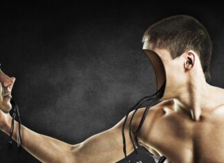 L’illusion d’une Intelligence Artificielle frugale L’illusion d’une Intelligence Artificielle frugale