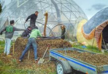 Carnet de voyage : une communauté suédoise avant-gardiste carnet de voyage : une communauté suédoise avant-gardiste