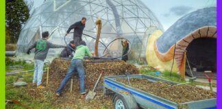 Carnet de voyage : une communauté suédoise avant-gardiste carnet de voyage : une communauté suédoise avant-gardiste