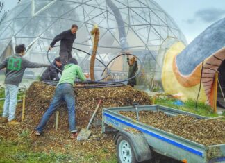 Carnet de voyage : une communauté suédoise avant-gardiste carnet de voyage : une communauté suédoise avant-gardiste