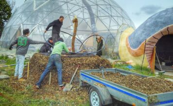 Carnet de voyage : une communauté suédoise avant-gardiste carnet de voyage : une communauté suédoise avant-gardiste