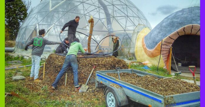 Carnet de voyage : une communauté suédoise avant-gardiste carnet de voyage : une communauté suédoise avant-gardiste