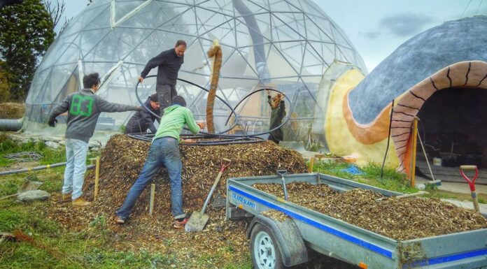 Carnet de voyage : une communauté suédoise avant-gardiste carnet de voyage : une communauté suédoise avant-gardiste