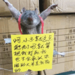 스크린샷 2025-02-11 133537