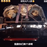 스크린샷 2025-02-11 170703