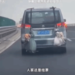 스크린샷 2025-02-11 170709