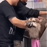 스크린샷 2025-02-23 131338