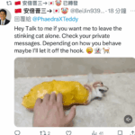 97c8f524-ce78-49a8-8eb8-978cb7c159ea_11zon (1)