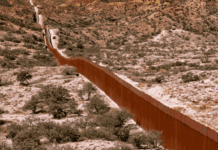 Trump, 49.3 et SNCF : les 10 actus de la semaine !