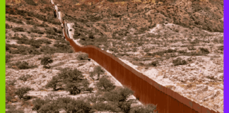 Trump, 49.3 et SNCF : les 10 actus de la semaine !