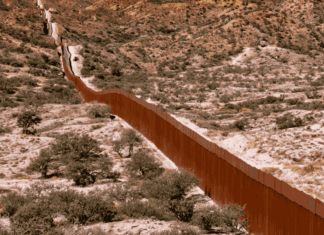 Trump, 49.3 et SNCF : les 10 actus de la semaine !