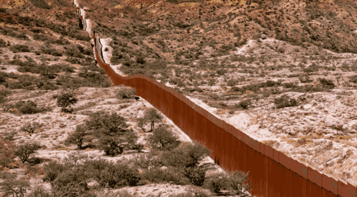 Trump, 49.3 et SNCF : les 10 actus de la semaine !