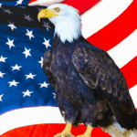 Couverture Article venez