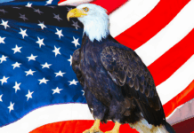 Venezuela, agriculteurs et éolien : les 10 infos de la semaine