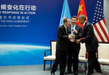 La Chine devient la star des énergies renouvelables La Chine devient la star des énergies renouvelables