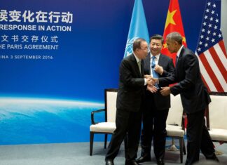 La Chine devient la star des énergies renouvelables La Chine devient la star des énergies renouvelables