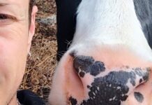 En Charente, le Little Phoenix Sanctuary vient au secours des animaux En Charente, le Little Phoenix Sanctuary vient au secours des animaux