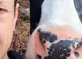 En Charente, le Little Phoenix Sanctuary vient au secours des animaux En Charente, le Little Phoenix Sanctuary vient au secours des animaux