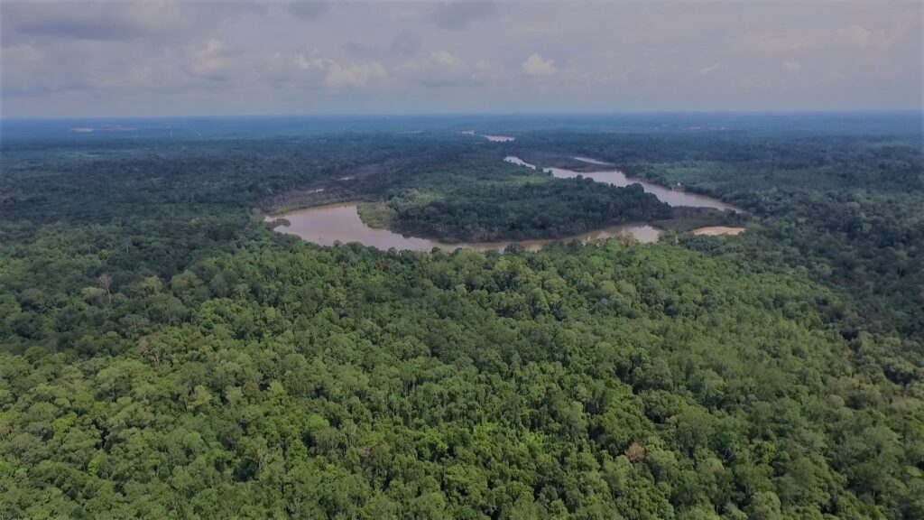 Le forêt de Dulan se situe sur l'île de Bornéo ©Kalaweit