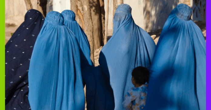 Afghanistan : trois ans d’effacement organisé des femmes Afghanistan : trois ans d’effacement organisé des femmes