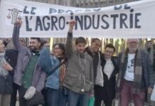 Le procès du train : 12 prévenu·es face à l’agro-industrie Le procès du train : 12 prévenu·es face à l’agro-industrie