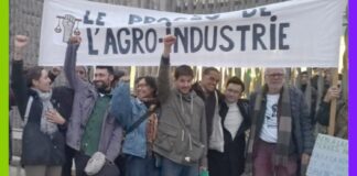 Le procès du train : 12 prévenu·es face à l’agro-industrie Le procès du train : 12 prévenu·es face à l’agro-industrie